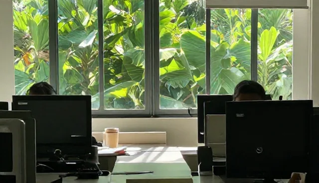 方案设计在实际应用中的选型关注点分析